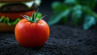 From Fast Food to Flourishing Garden: Burger Seeds Sprout Delicious Tomatoes!