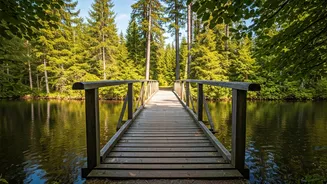 Navigating Relationship Challenges: Insights & Resilience