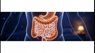 How midday largest meal habits transform gut health and nighttime sleep patterns