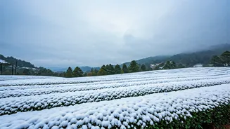 7 Winter Wonderlands: Dreamy Indian Destinations