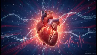 Why High-Moisture Environments Trigger Early Dehydration Induced Cardiovascular Stresses In Runners