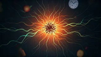 Metabolic Mayhem: How Skipping Meals & Late-Night Eating Wreak Havoc