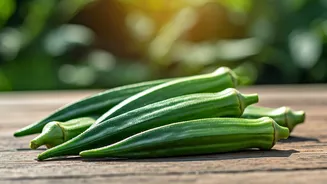 Bhindi Growing Season Is About To Get Serious