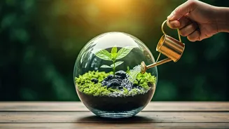 Schools Make Climate Lessons More Practical