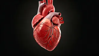 7 Heart-Healthy Exercises: Move for a Healthier You!