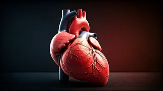 Heart Health Paradox: Why a Normal Treadmill Test Isn't Always a Clean Bill of Health