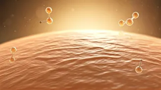 Collagen Creams & Supplements: Do They Really Reverse Aging and Wrinkles?