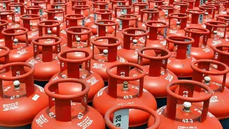 US to become India's largest LPG supplier, says OPEC