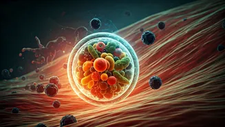 The Dual Powerhouse: How Diet and Exercise Fortify Your Body Against Cancer