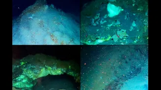 Methane, Oil And Strange Life Forms: Why A Hidden Arctic Ecosystem Has Alarmed Scientists