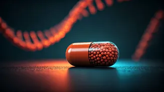 Daily Multivitamin: A Potential Ally Against Biological Ageing in Older Adults?