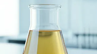 Unlocking Health Secrets: What Your Urine Reveals