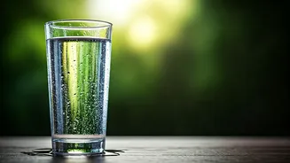 Clean Hydration Is The Monsoon Immunity Base