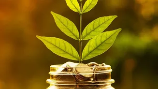 Recurring deposits offer young professionals simple ways to save for vehicle down payments