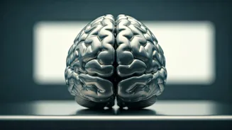 Abrupt Medication Halt: Emotional & Neurological Toll