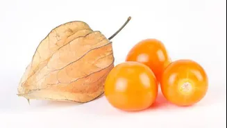 Cape gooseberry: A natural anti-inflammatory powerhouse