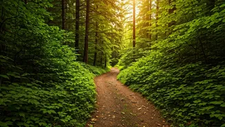 Top 5 Indian Spots for Solo Travelers: Adventure Awaits!