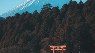 What Makes IRCTC's Japan Package Different From Planning A Japan Trip Yourself?