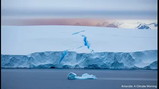 Antarctica Is A Climate Warning, Not Trivia