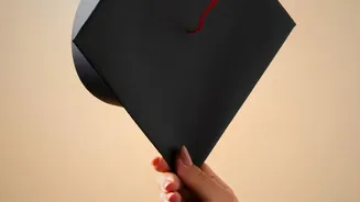Why Skills Matter Alongside Degrees For Employability: What Work Experience Actually Means