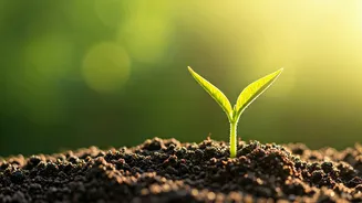 Raising a Healthy Generation: Combating Lifestyle Diseases in Today's Children