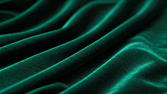 Kriti Sanon's Stunning Reception Look: A Velvet Saree Delight