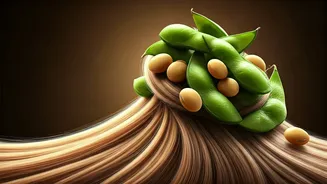 Unlock Lustrous Locks: 5 Soy Foods for Natural Hair Growth and Strength