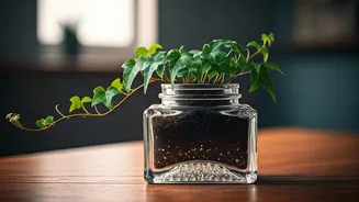 Vintage Glass Inkwells Upcycled Into Gorgeous Workspace Ivy Displays