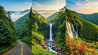 Coorg, Mahabaleshwar, And Wayanad Buzzing With Peak Holiday Energy