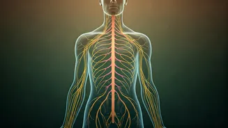 15-Minute Nervous System Reset: 5 Yoga Poses for Instant Stress Relief
