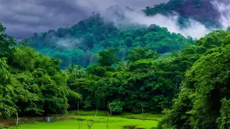 Western Ghats Monsoon Travel Advice: Route Safety Rules For Independence Day Trekkers