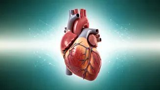 Nurturing Young Hearts: Why Heart Health Starts in Childhood and Adolescence