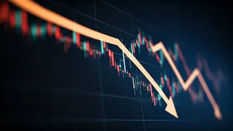 Indian Market Downturn: Unpacking the Reasons Behind the Fall