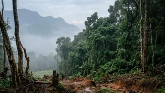 Why Environmental Scientists Urge Rapid Policy Actions Based On Kerala Habitat Assessments