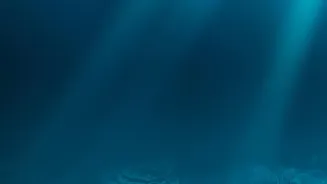 What Scientists Can Learn About Climate Solutions With Side Effects From The New Ocean Iron Study