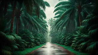 Rainy Goa Has More Soul, Less Noise