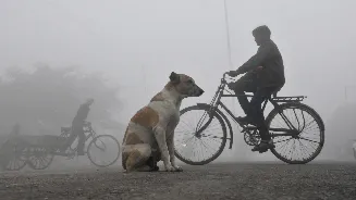 Delhi begins New Year 2026 with ‘very poor’ air quality, New Year’s Eve was coldest December day since 2019