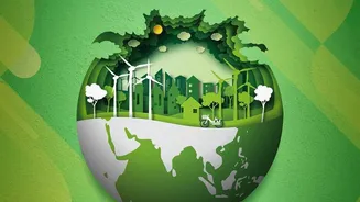 How Slow Travel Cultivates Greener Habits Among Younger Domestic Tourists In Coastal Regions
