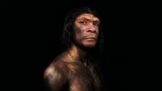 Neandertais podem ter tratado cáries há 59 mil anos