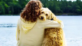 Add Vet Contacts And Emergency Permission To Every Plan For A Pet-Sitter Handover Sheet