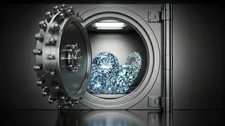 Israeli Firm Helps Louvre Find Stolen Jewels