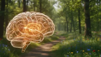 How Staying Active Could Support Your Brain As You Age