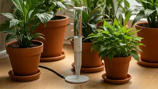 The Best Automatic Plant Watering Systems For Frequent International Travelers