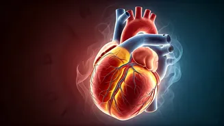 Beyond 40°C: Unveiling the Human Body's True Heat Tolerance Limits