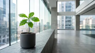 Why Systematic Mutual Fund Equity Investments Help Starters Avoid The Stress Of Direct Stocks