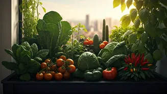 Balcony Farming Gains Momentum