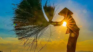 Solar cooling aids rose farmers