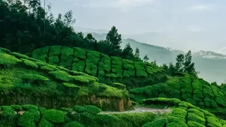 Travel Habits Are Changing As Monsoon Holidays Gain Momentum