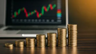 Smart Investment: Ideas and Tools for Indian Investors