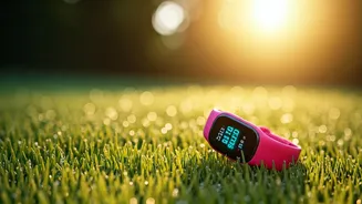 People Are Taking More Steps Daily